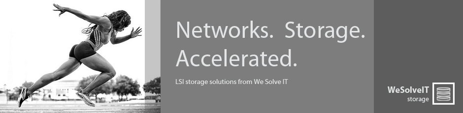 LSI-data-storage-solutions